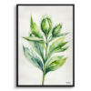 Onopordum Acanthium Minimalist Watercolour Botanical Art Print - Cotton Scotch thistle Framed Plant Wall Art 2 watercolour botanical print flowers onopordum acanthium minimalist front view
