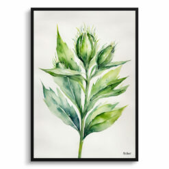 Onopordum Acanthium Minimalist Watercolour Botanical Art Print -  Cotton Scotch thistle Framed Plant Wall Art
