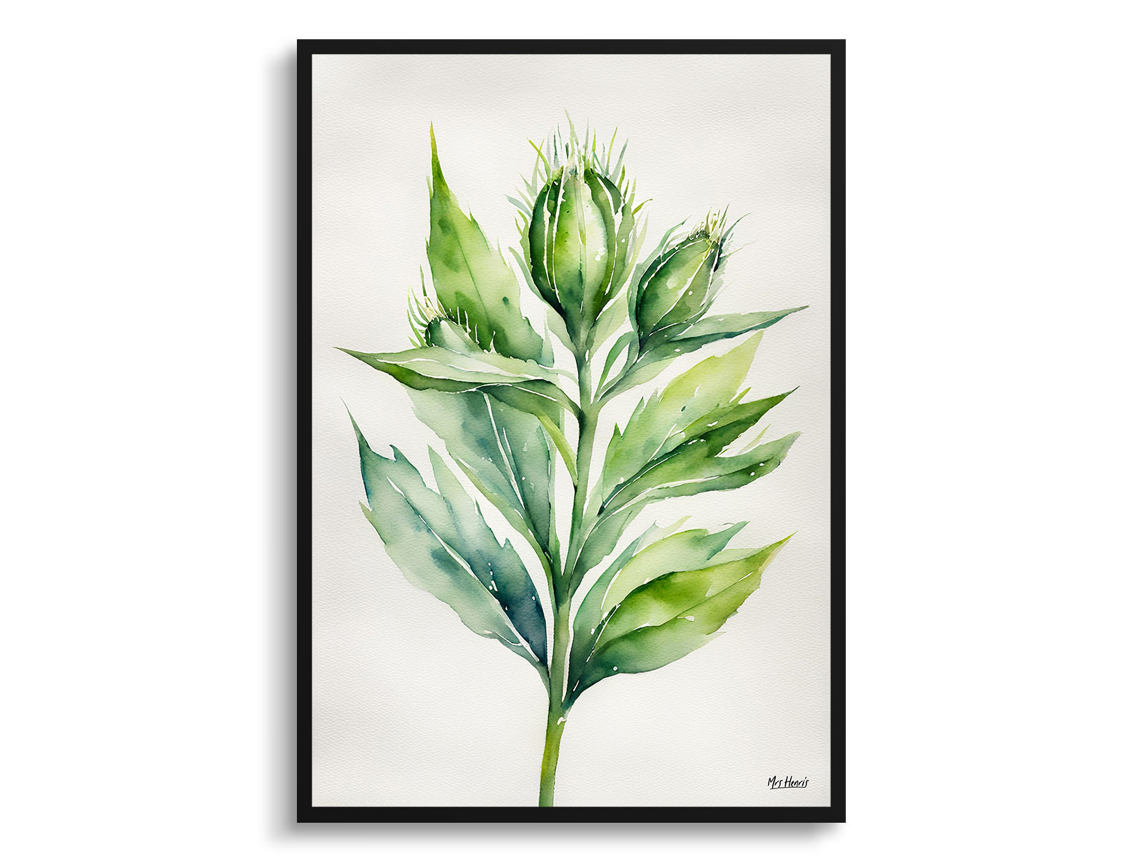Onopordum Acanthium Minimalist Watercolour Botanical Art Print - Cotton Scotch thistle Framed Plant Wall Art 3 Onopordum Acanthium Minimalist Watercolour Botanical Art Print - Cotton Scotch thistle Framed Plant Wall Art