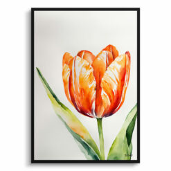 Orange tulip Watercolour Botanical Art Print - Tulipa Framed Plant Wall Art