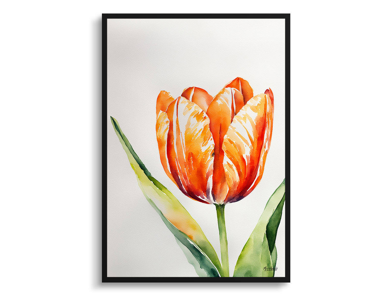 Orange tulip Watercolour Botanical Art Print - Tulipa Framed Plant Wall Art 3 Orange tulip Watercolour Botanical Art Print - Tulipa Framed Plant Wall Art