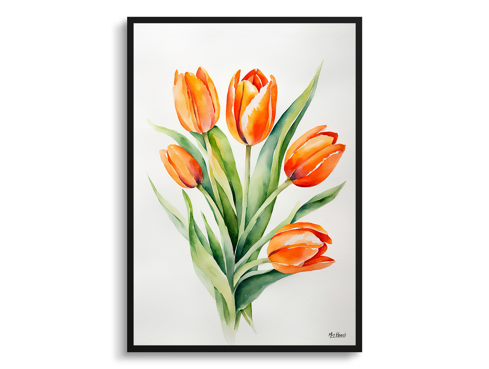 Orange tulip Minimalist Watercolour Botanical Art Print - Tulipa Framed Plant Wall Art 3 Orange tulip Minimalist Watercolour Botanical Art Print - Tulipa Framed Plant Wall Art