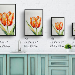Orange tulip Watercolour Botanical Art Print - Tulipa Framed Plant Wall Art 9 watercolour botanical print flowers orange tulip print size comparison