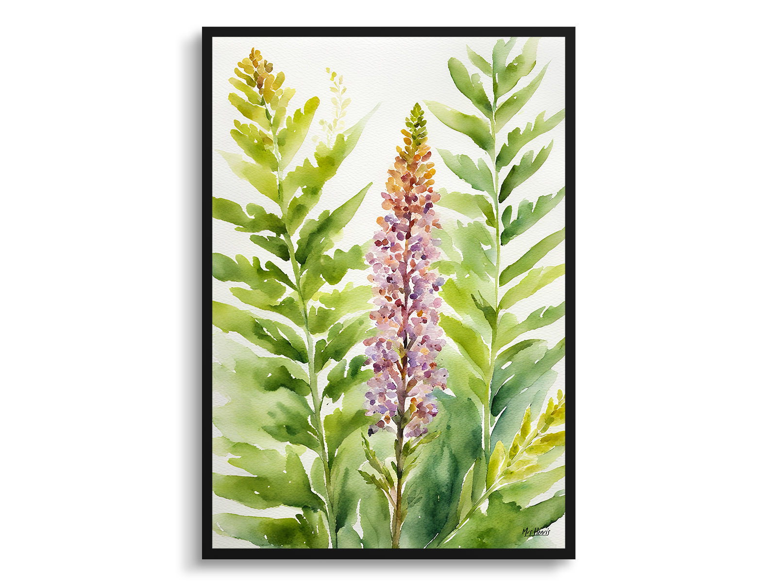 Osmunda Regalis Watercolour Botanical Art Print - Royal fern Framed Plant Wall Art 3 Osmunda Regalis Watercolour Botanical Art Print - Royal fern Framed Plant Wall Art