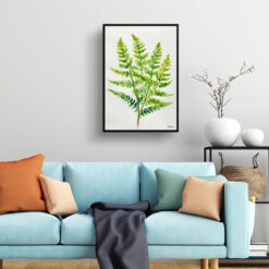 watercolour botanical print flowers osmunda regalis royal fern minimalist living room