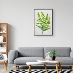 watercolour botanical print flowers osmunda regalis royal fern minimalist office