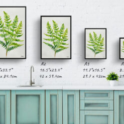 watercolour botanical print flowers osmunda regalis royal fern minimalist print size comparison
