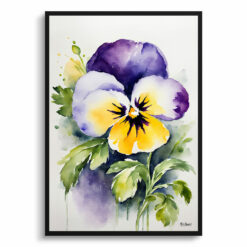 Pansy Watercolour Botanical Art Print - Heartsease Framed Plant Wall Art