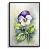 Pansy Minimalist Watercolour Botanical Art Print - Heartsease Framed Plant Wall Art 2 watercolour botanical print flowers pansy minimalist front view