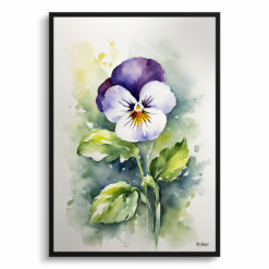 Pansy Minimalist Watercolour Botanical Art Print - Heartsease Framed Plant Wall Art