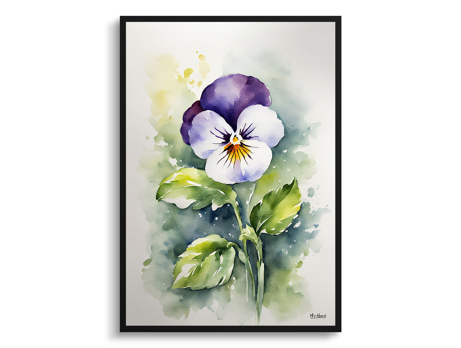 Pansy Minimalist Watercolour Botanical Art Print - Heartsease Framed Plant Wall Art 3 Pansy Minimalist Watercolour Botanical Art Print - Heartsease Framed Plant Wall Art