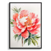 Peony Minimalist Watercolour Botanical Art Print - Herbaceous Framed Plant Wall Art 2 watercolour botanical print flowers peony minimalist front view