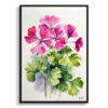 pink geranium Minimalist Watercolour Botanical Art Print - Rose Framed Plant Wall Art 1 watercolour botanical print flowers pink geranium minimalist front view