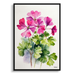 pink geranium Minimalist Watercolour Botanical Art Print - Rose Framed Plant Wall Art