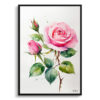 Pink rose Minimalist Watercolour Botanical Art Print - Rosa Framed Plant Wall Art 2 watercolour botanical print flowers pink rose minimalist front view