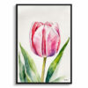 watercolour botanical print flowers pink tulip front view