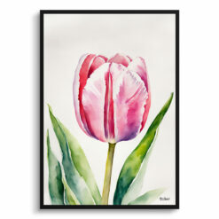 Pink tulip Watercolour Botanical Art Print - Tulipa Framed Plant Wall Art