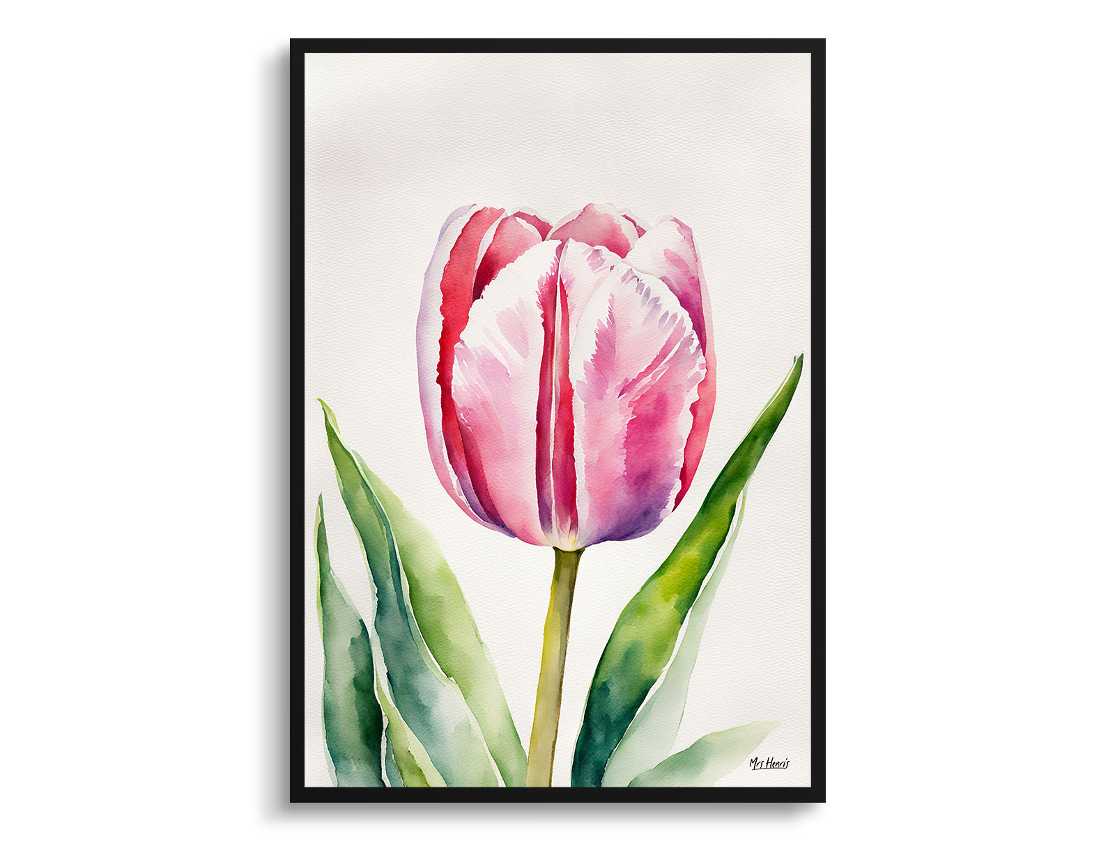 Pink tulip Watercolour Botanical Art Print - Tulipa Framed Plant Wall Art 3 Pink tulip Watercolour Botanical Art Print - Tulipa Framed Plant Wall Art