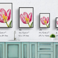 watercolour botanical print flowers pink tulip minimalist print size comparison