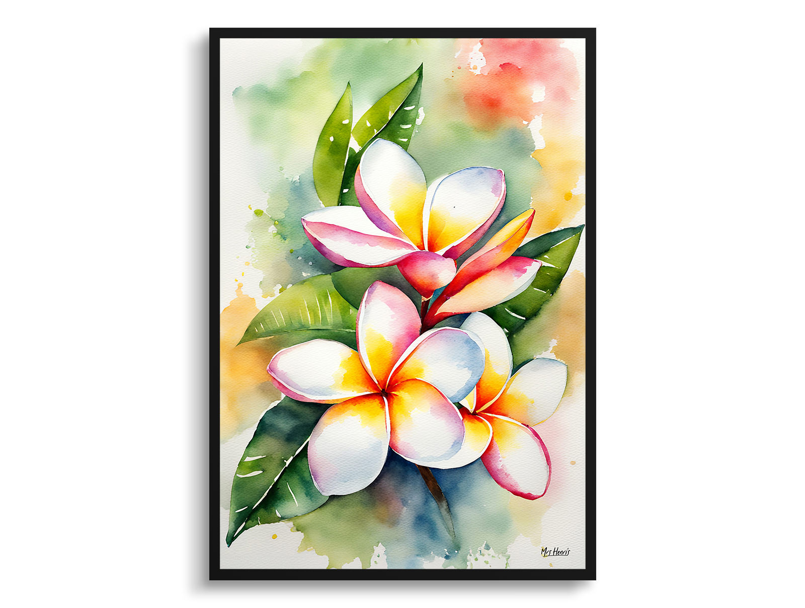 Plumeria Watercolour Botanical Art Print - Frangipani Framed Plant Wall Art 3 Plumeria Watercolour Botanical Art Print - Frangipani Framed Plant Wall Art