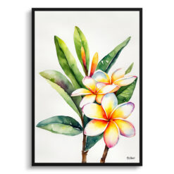 Plumeria Minimalist Watercolour Botanical Art Print - Frangipani Framed Plant Wall Art