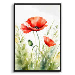 Poppy Watercolour Botanical Art Print - Common Flanders Framed Plant Wall Art