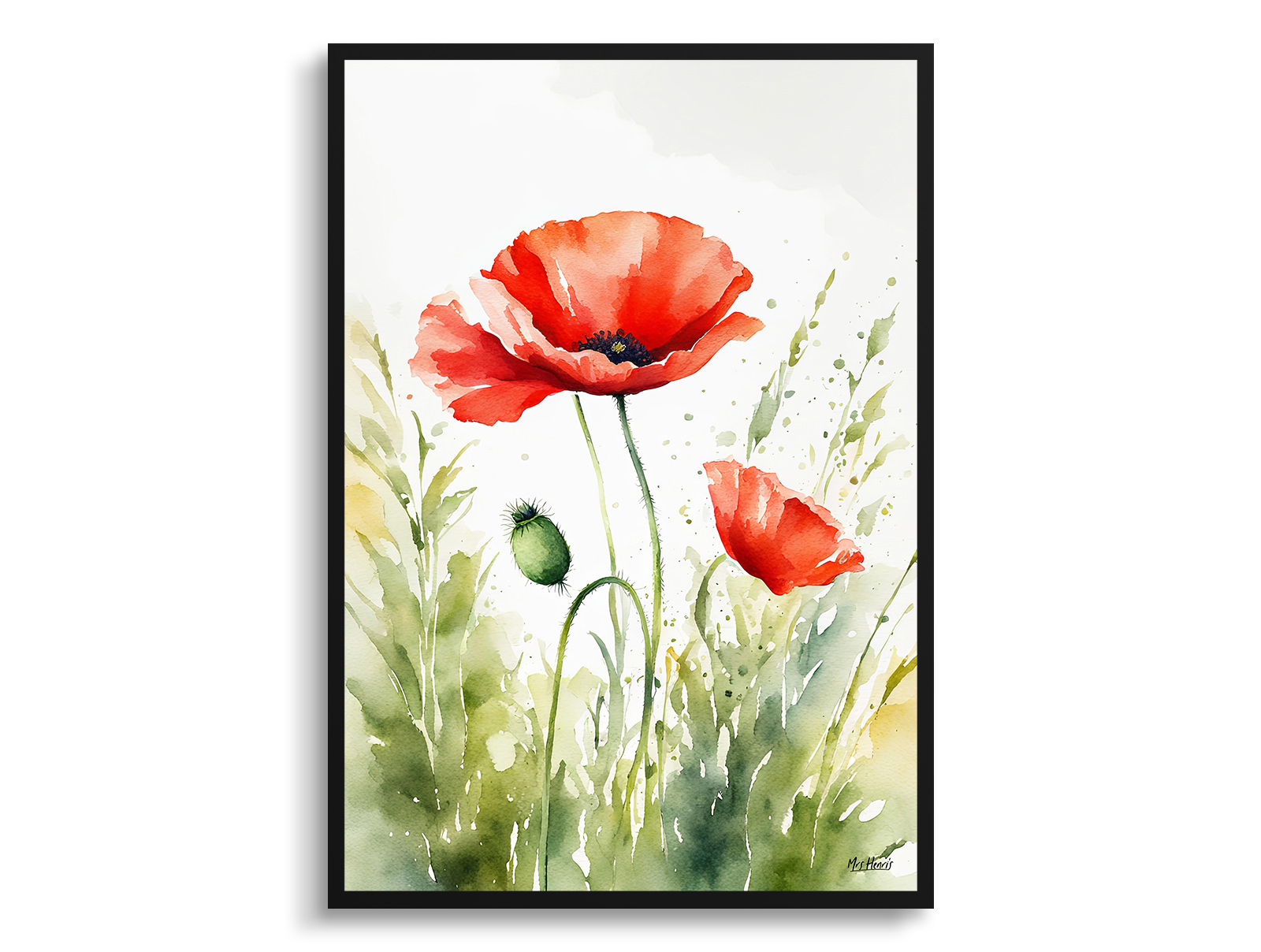 Poppy Watercolour Botanical Art Print - Common Flanders Framed Plant Wall Art 3 Poppy Watercolour Botanical Art Print - Common Flanders Framed Plant Wall Art