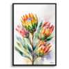 watercolour botanical print flowers proteas front view