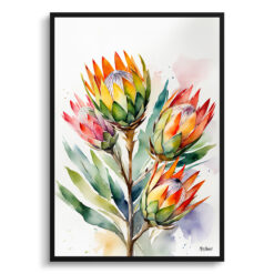 Proteas Watercolour Botanical Art Print -  King Protea Sugarbush Framed Plant Wall Art