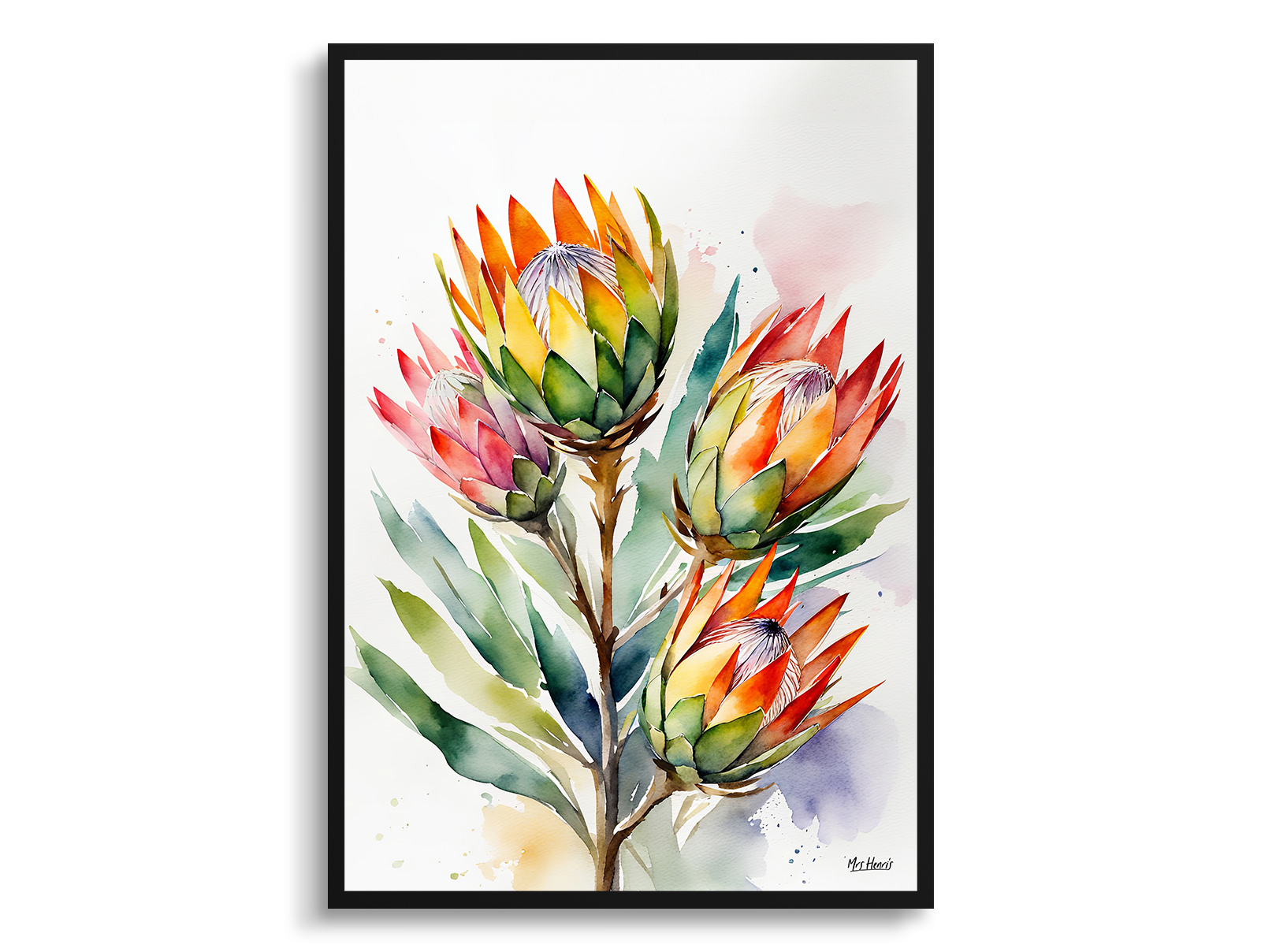 Proteas Watercolour Botanical Art Print - King Protea Sugarbush Framed Plant Wall Art 3 Proteas Watercolour Botanical Art Print - King Protea Sugarbush Framed Plant Wall Art