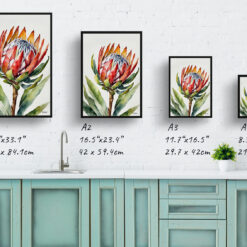 watercolour botanical print flowers proteas minimalist print size comparison