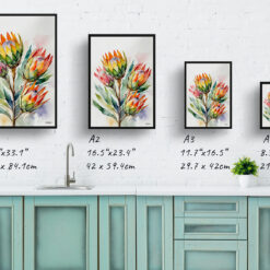 Proteas Watercolour Botanical Art Print - King Protea Sugarbush Framed Plant Wall Art 9 watercolour botanical print flowers proteas print size comparison