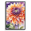 Purple and orange dahlia Watercolour Botanical Art Print - Asteraceae Framed Plant Wall Art 2 watercolour botanical print flowers purple and orange dahlia front view