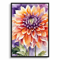 Purple and orange dahlia Watercolour Botanical Art Print - Asteraceae Framed Plant Wall Art