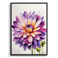 Purple and orange dahlia Minimalist Watercolour Botanical Art Print - Asteraceae Framed Plant Wall Art