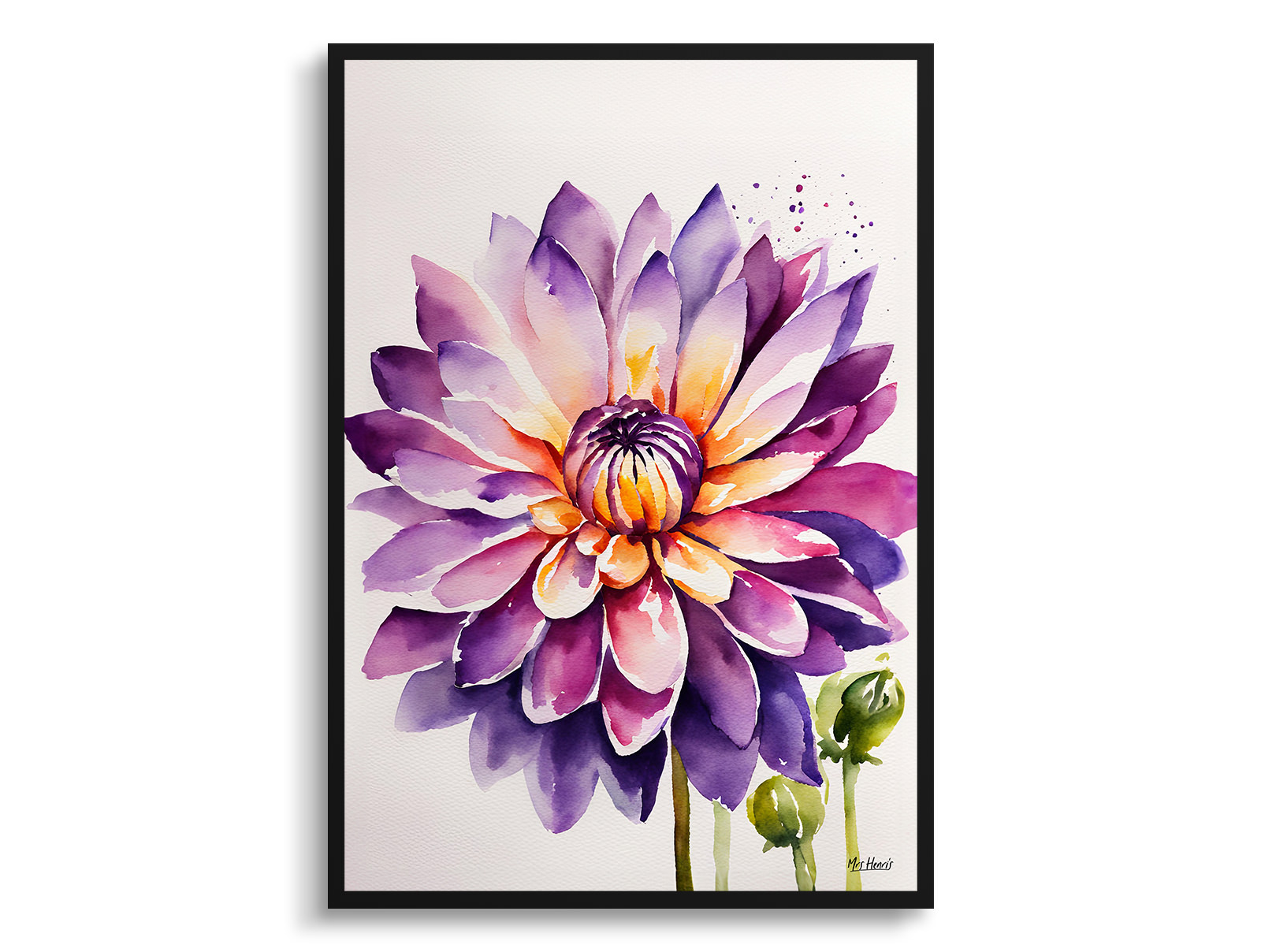 Purple and orange dahlia Minimalist Watercolour Botanical Art Print - Asteraceae Framed Plant Wall Art 3 Purple and orange dahlia Minimalist Watercolour Botanical Art Print - Asteraceae Framed Plant Wall Art