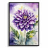 Purple dahlia Watercolour Botanical Art Print - Asteraceae Framed Plant Wall Art 1 watercolour botanical print flowers purple dahlia front view