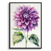 watercolour botanical print flowers purple dahlia minimalist front view