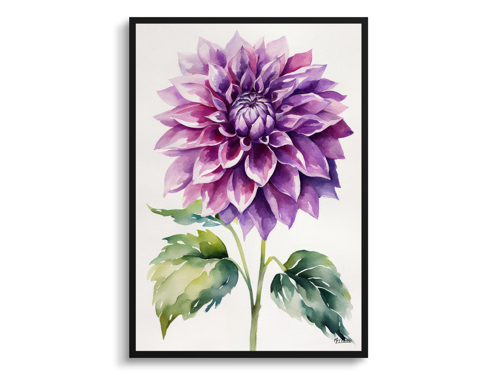 Purple dahlia Minimalist Watercolour Botanical Art Print - Asteraceae Framed Plant Wall Art 3 Purple dahlia Minimalist Watercolour Botanical Art Print - Asteraceae Framed Plant Wall Art