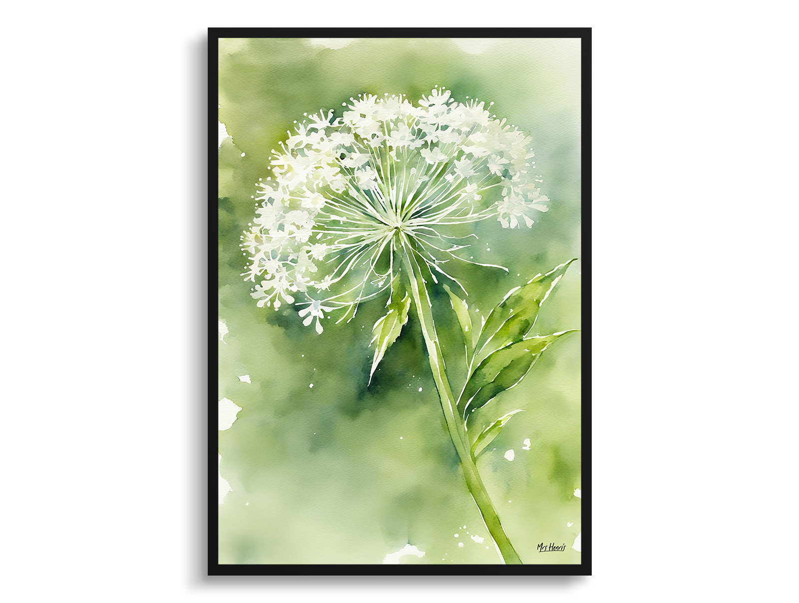 Queen Annes lace Watercolour Botanical Art Print - Wild carrot Framed Plant Wall Art 3 Queen Annes lace Watercolour Botanical Art Print - Wild carrot Framed Plant Wall Art