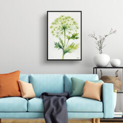 watercolour botanical print flowers queen annes lace minimalist living room