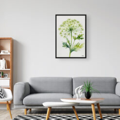 watercolour botanical print flowers queen annes lace minimalist office