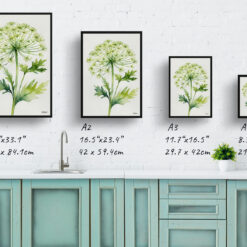 watercolour botanical print flowers queen annes lace minimalist print size comparison