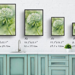 Queen Annes lace Watercolour Botanical Art Print - Wild carrot Framed Plant Wall Art 9 watercolour botanical print flowers queen annes lace print size comparison