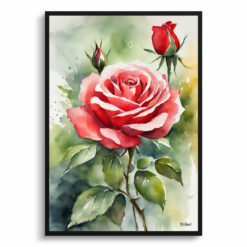 Red rose Watercolour Botanical Art Print - Garden Framed Plant Wall Art
