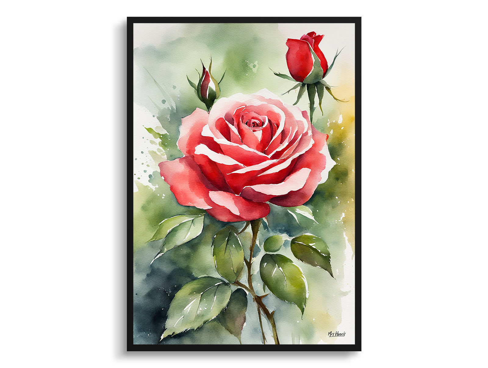 Red rose Watercolour Botanical Art Print - Garden Framed Plant Wall Art 3 Red rose Watercolour Botanical Art Print - Garden Framed Plant Wall Art