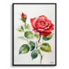 Red rose Minimalist Watercolour Botanical Art Print - Garden Framed Plant Wall Art 1 watercolour botanical print flowers red rose minimalist front view