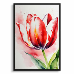 Red tulip Watercolour Botanical Art Print - Tulipa Framed Plant Wall Art