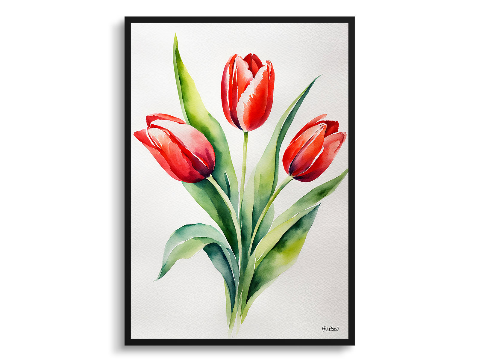 Red tulip Minimalist Watercolour Botanical Art Print - Tulipa Framed Plant Wall Art 3 Red tulip Minimalist Watercolour Botanical Art Print - Tulipa Framed Plant Wall Art