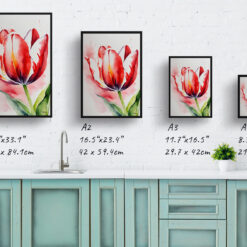 Red tulip Watercolour Botanical Art Print - Tulipa Framed Plant Wall Art 9 watercolour botanical print flowers red tulip print size comparison